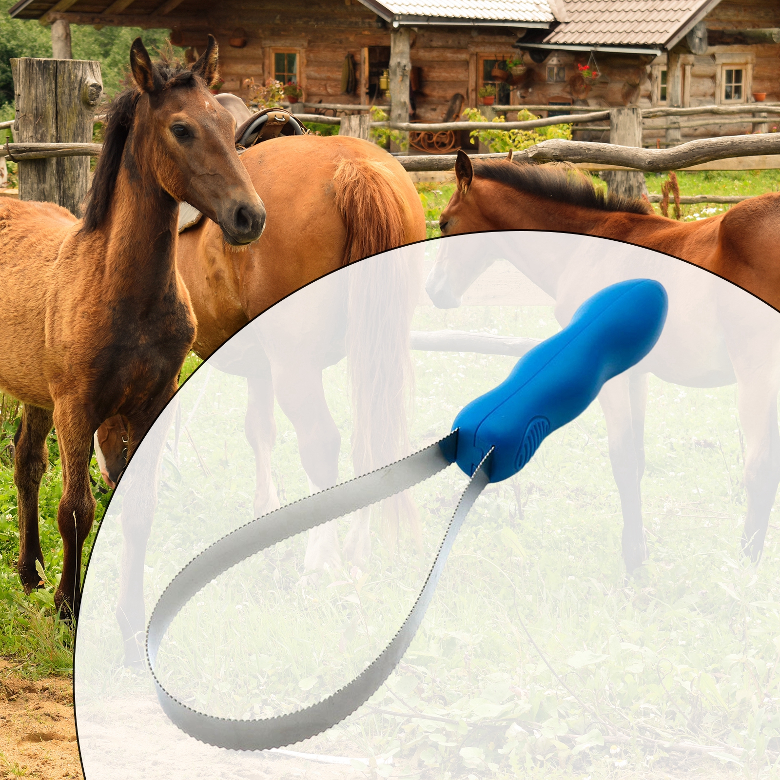 Grooming Kit Horse - Horse Grooming Comb Equestrian Brush Scraper