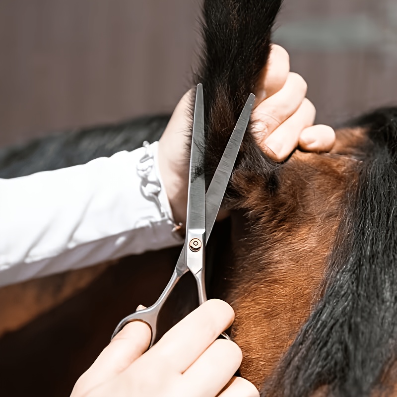 Horse Grooming Tool Set Stainl – Grooming Kit Horse Bewertung und Preis