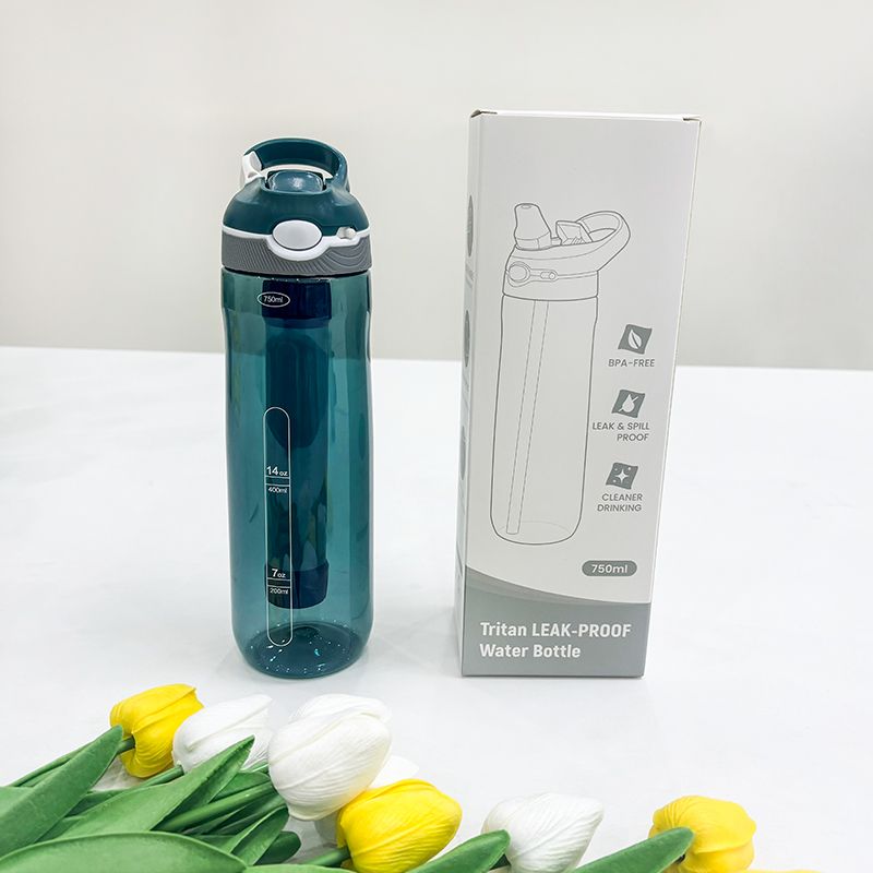CAMAZ 750ml Outdoor Sport Hydr – Outdoor Sport Glass Water Bottle Bewertung und Preis
