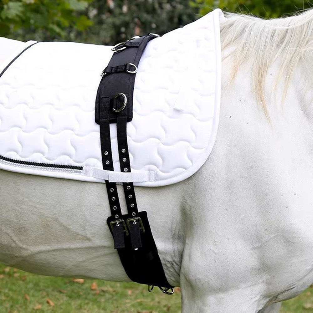 New Wear Resistant Conditionin – Grooming Kit Horse Bewertung und Preis