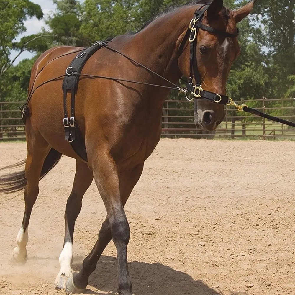 New Wear Resistant Conditionin – Grooming Kit Horse Bewertung und Preis