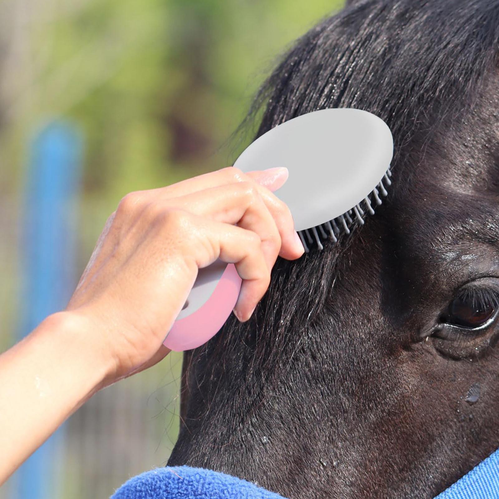 Mane Pulling Comb for Horses M – Grooming Kit Horse Bewertung und Preis