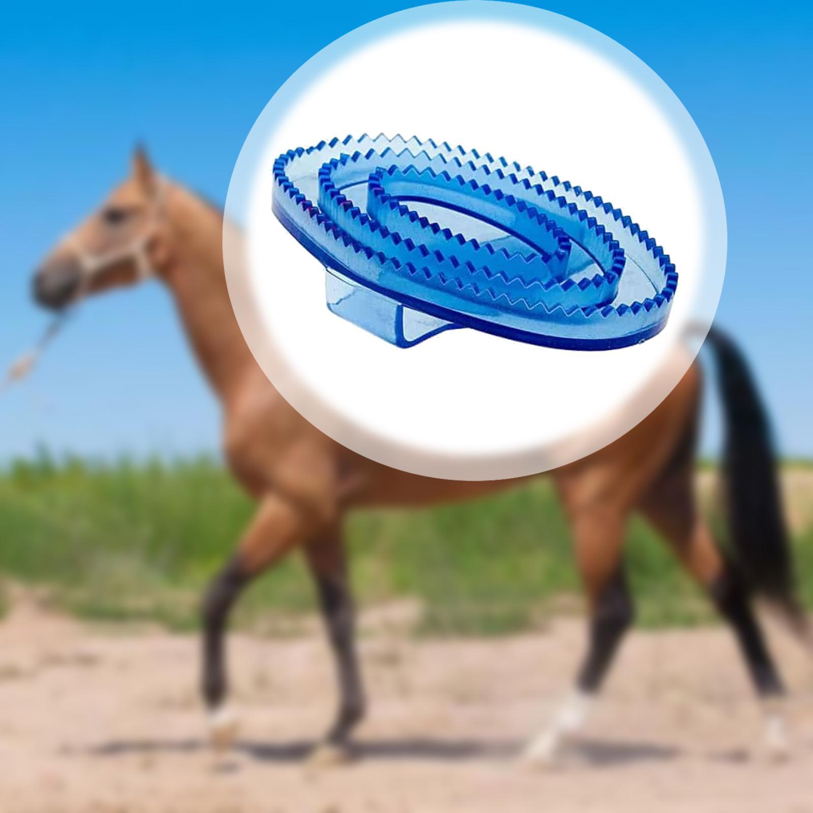 Equine Grooming Massage Curry  – Grooming Kit Horse Bewertung und Preis