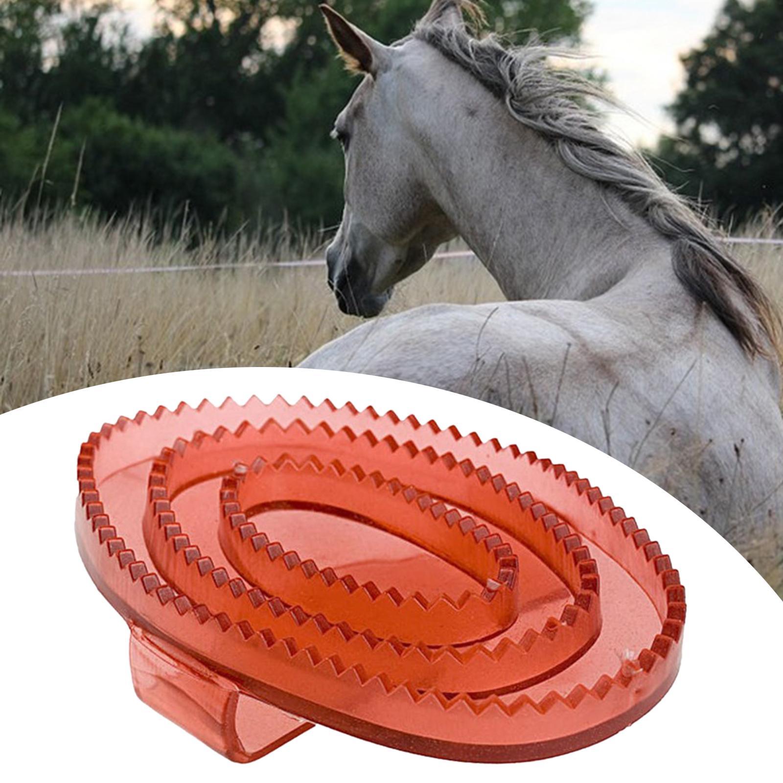 Equine Grooming Massage Curry  – Grooming Kit Horse Bewertung und Preis