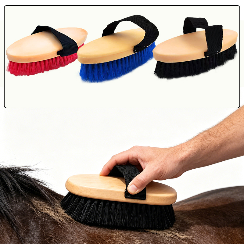 Elliptical Horse Grooming Curr – Grooming Kit Horse Bewertung und Preis