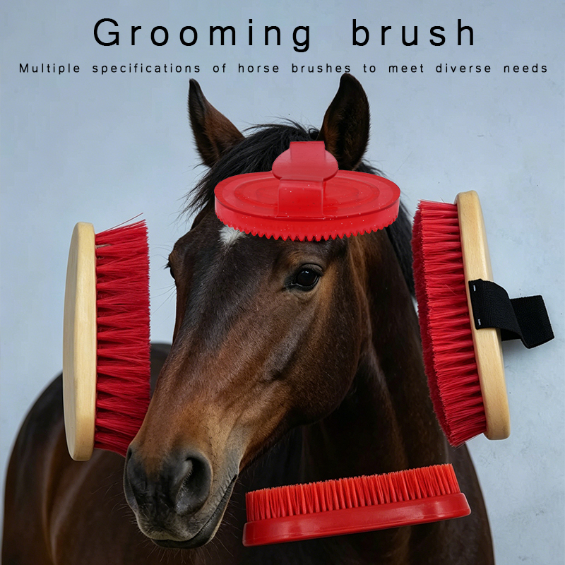 Equestrian Horse Grooming Brus – Grooming Kit Horse Bewertung und Preis