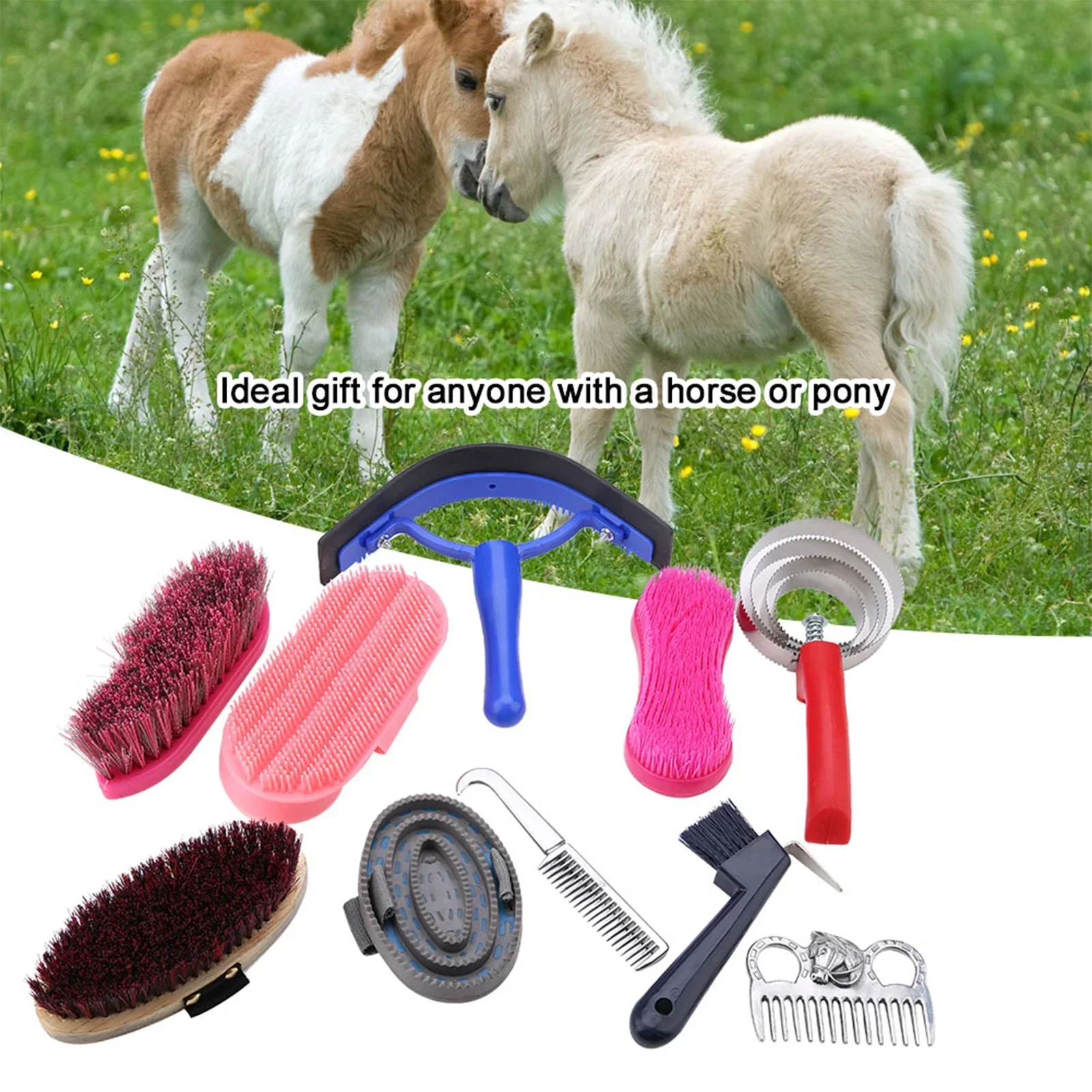 10Pcs Horse Grooming Care Kit  – Grooming Kit Horse Bewertung und Preis