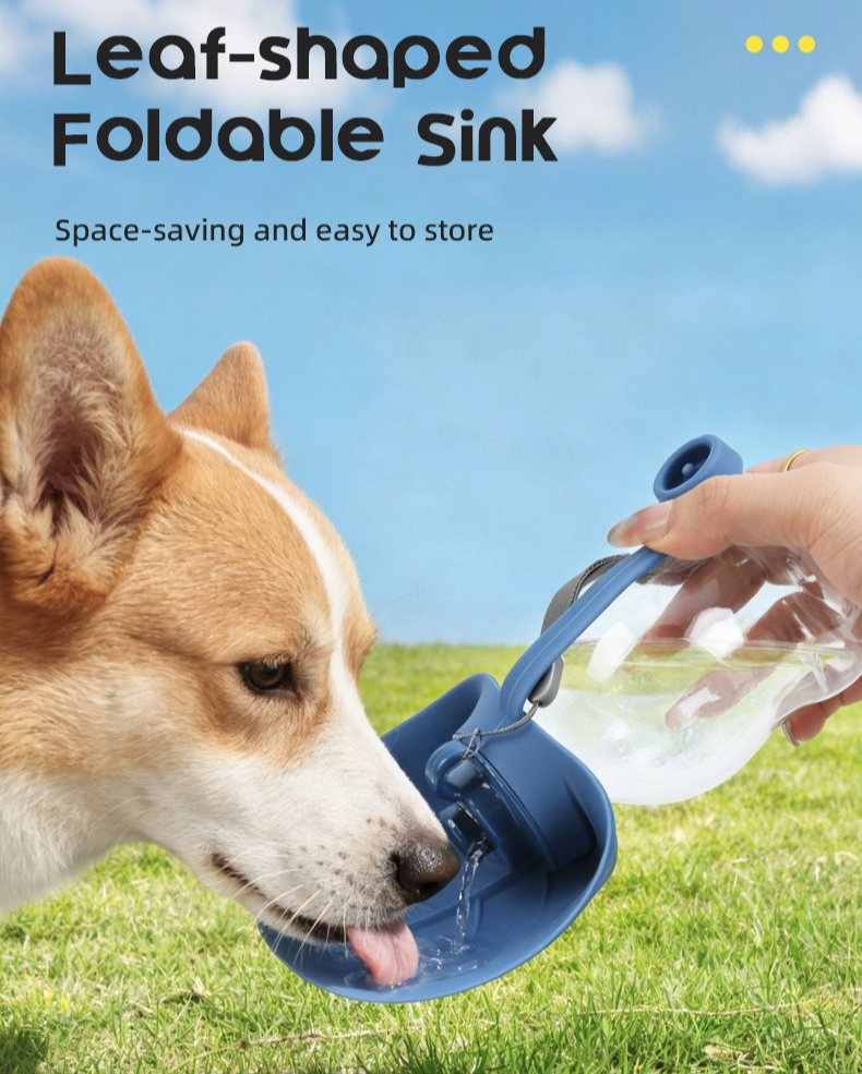 Sport Portable Pet Dog Water B – Outdoor Sport Glass Water Bottle Bewertung und Preis