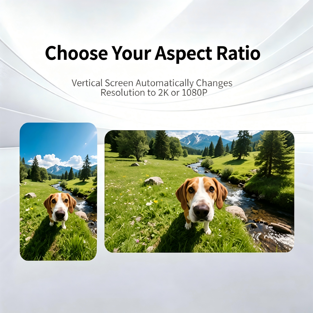4K Action Camera for Pets vide – Indoor Sport And Outdoor Sports Bewertung und Preis