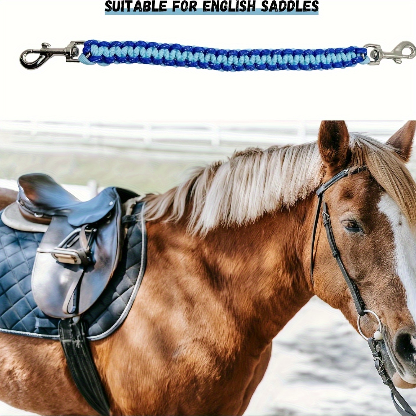 1-Pack Blue Nylon Saddle Balan – Grooming Kit Horse Bewertung und Preis