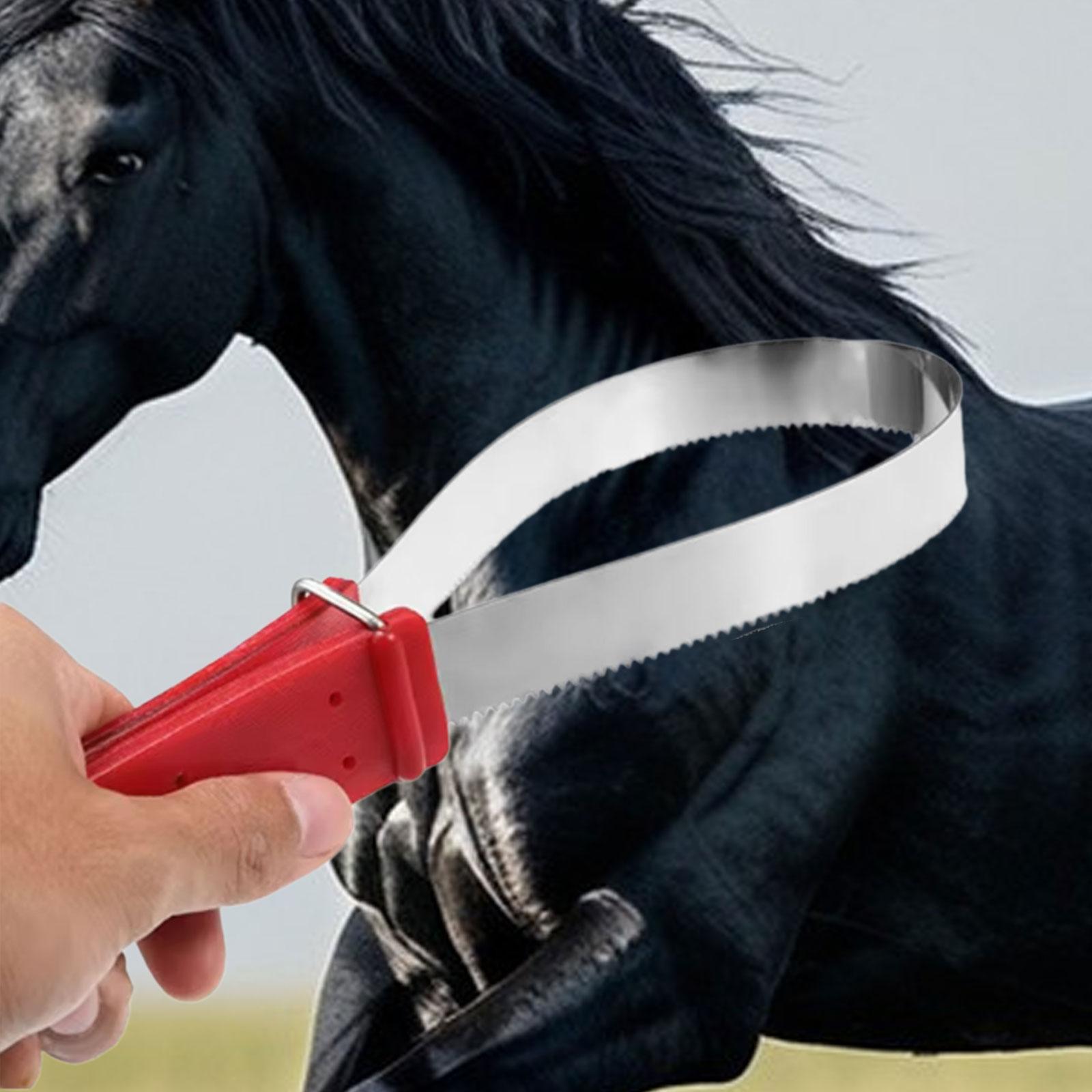 Practical Horse Hair Cleaning  – Grooming Kit Horse Bewertung und Preis