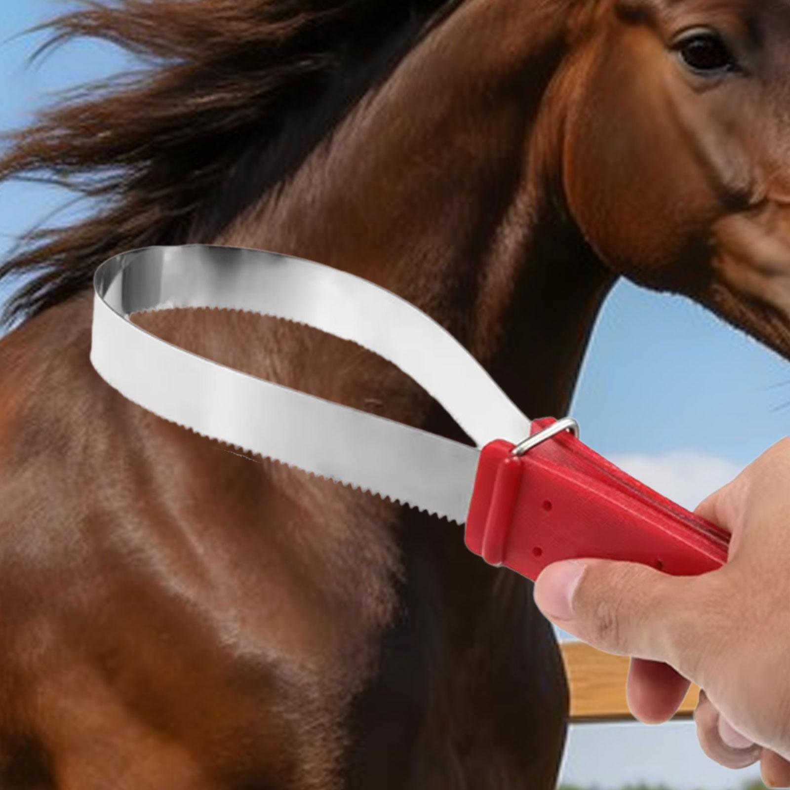 Practical Horse Hair Cleaning  – Grooming Kit Horse Bewertung und Preis