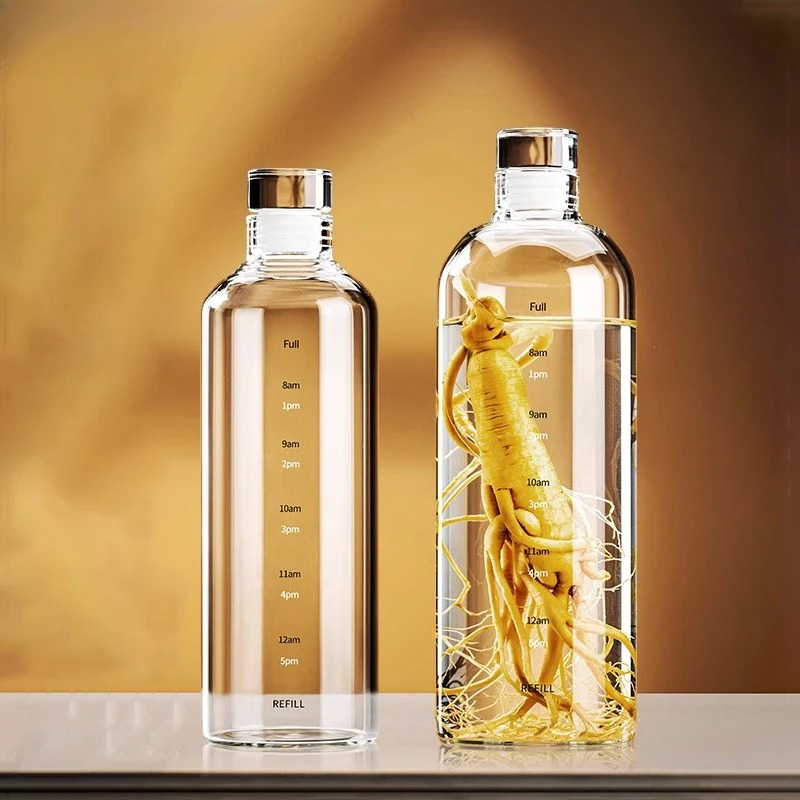 500/750/1000ml Glass Sport Wat – Outdoor Sport Glass Water Bottle Bewertung und Preis